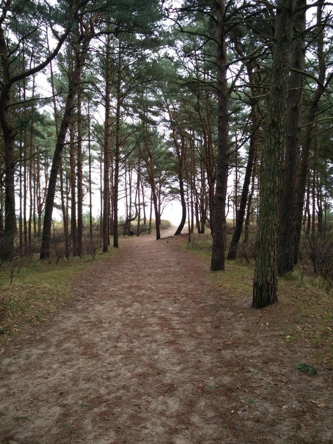 Ferienwohnung Am Kuestenwald ทรัสเซนไฮเดอ ภายนอก รูปภาพ