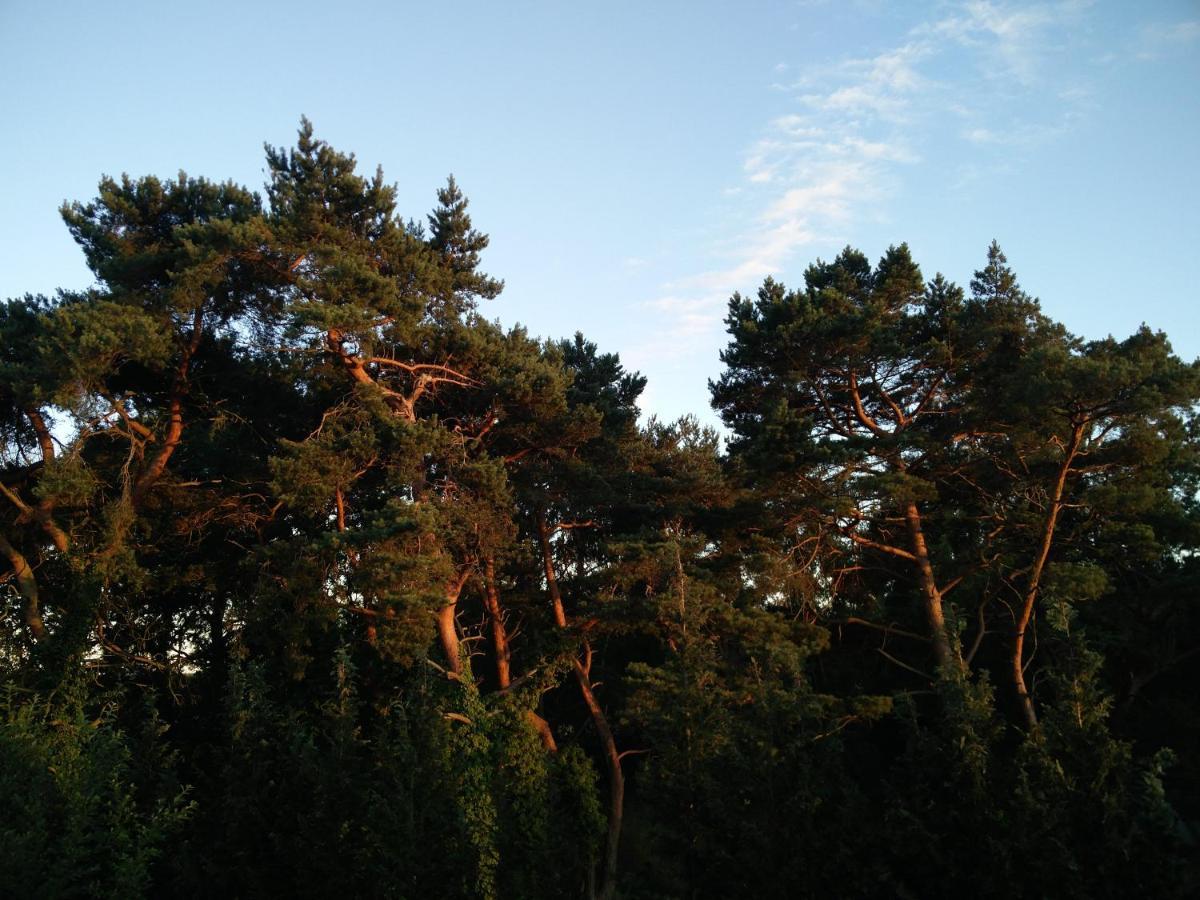 Ferienwohnung Am Kuestenwald ทรัสเซนไฮเดอ ภายนอก รูปภาพ
